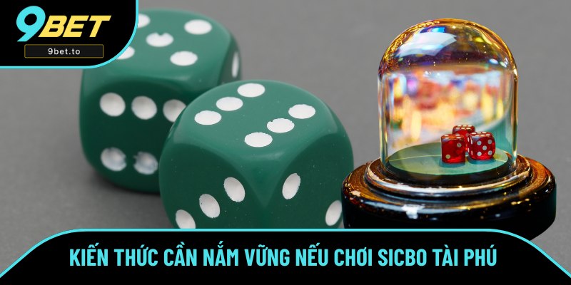 Cần nắm vững kiến thức để không phạm lỗi khi thao tác 