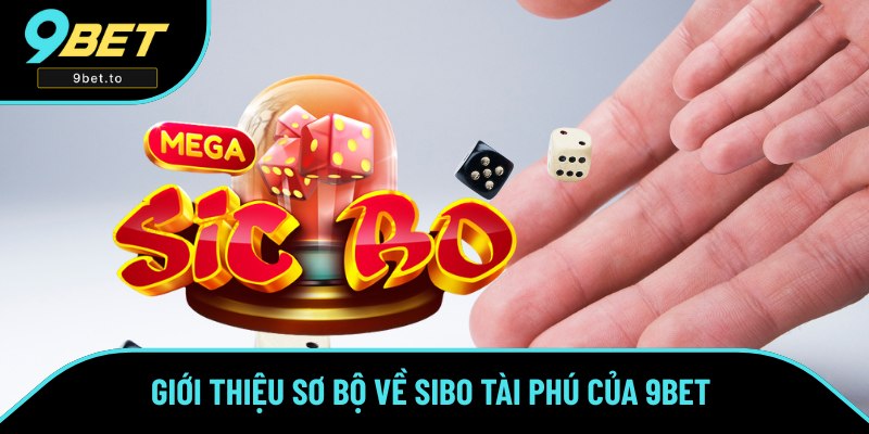 Những thông tin sơ lược về sản phẩm Tài Xỉu đình đám 
